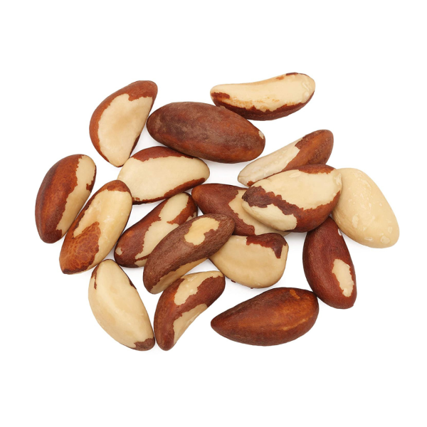 Brazil Nut