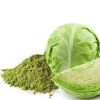 Cabbage Powder - Image 2